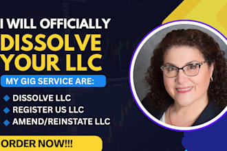 dissolve US llc and register llc, amend llc, file tax, renew llc, register agent