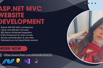 develop asp net mvc or asp net core websites