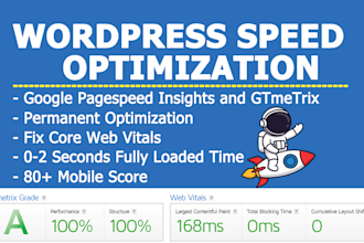 wordpress speed optimization for google pagespeed insights