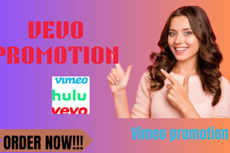 do vimeo page promotion, vevo, dailymotion, youtube to targeted audience