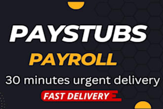 create adp paystubs, paychecks, salary slips for contractors