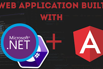 build a custom web app with asp net angular  and rest API