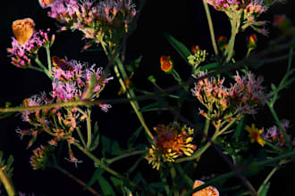 edit light and colors of any image