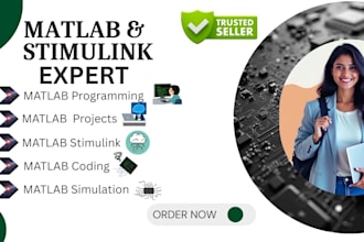 do urgent matlab ,simulink ,vbscript programming ,control systems gui project