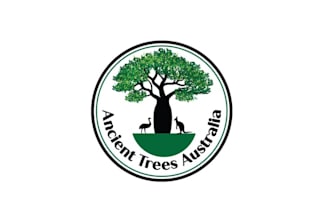 design awesome anicient trees australia logo