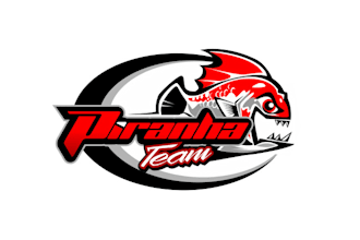 design attractive car racing team logo