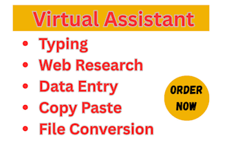be virtual assistant for copy paste,  web research, data entry, file conversion
