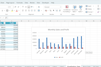 do excel data cleaning, formatting, and data visualization