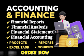 do accounting, finance assignment, financial analysis