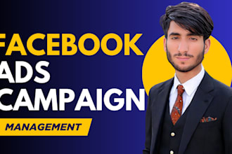 setup and manage your facebook ads with expert audience targeting