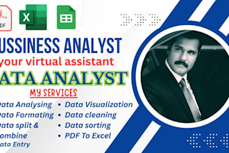 be your data analyst, business analyst, or auditor