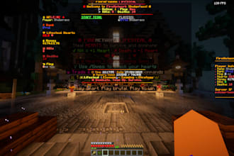 setup a professional looking minecraft custom server for you