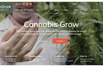 design canabis website dispensary cbd product website wordpress or squarespace