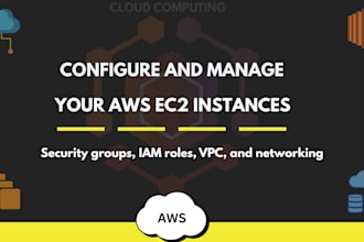 set up, configure, and manage your AWS ec2 instances