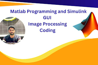 do your matlab programming, image and signal processing projects