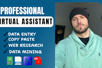 va for data entry, web research, copy paste, data collection