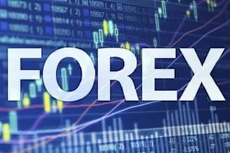 build profitable trading robot, forex robot forex ea robot forex trading robot