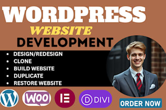 wordpress website revamp clone redesign elementor expert
