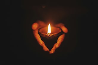 write a heartfelt professional obituary or memorial tribute