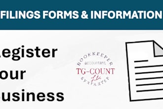 set up your llc or corporation and manage accounting and tax reports