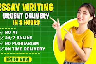 write essay, case study ,research and summary writing up to 100 pages