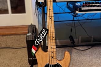 be the groove you desire and the last bassist you will need