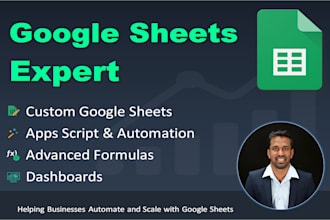 be your google sheets expert and automation specialist