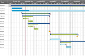 design a custom asana workflow and project management plan