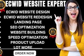 ecwid wesite design and redesign ecwid seo build website ecwid store setup