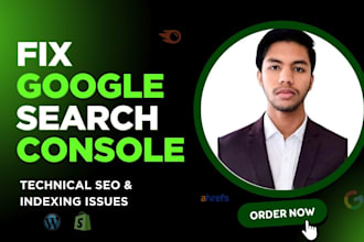 fix google search console errors and do website SEO audit, indexing