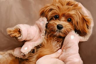 draw realistic digital oil painting of your pet s photo