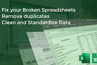 fix your broken spreadsheets, remove duplicates, clean and standardize data