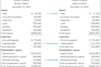 organize your financial data and do accounting