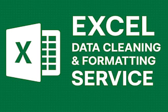 do professional excel data analysis, data cleaning, and formatting