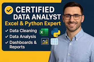 deliver expert data analysis, advanced data cleaning, and dynamic visualizations