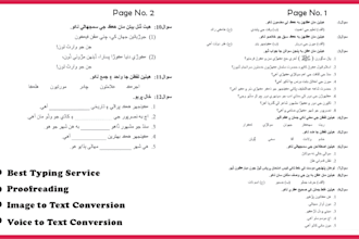 do sindhi paper and other typing work in sindhi language