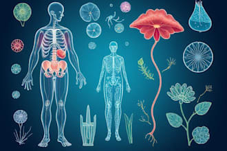 do medical, scientific and biology illustrations for you