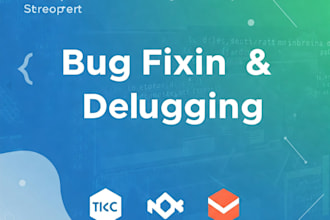 fix bugs and debug your react, nodejs or mongodb application