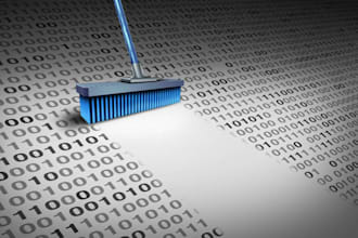 clean, organize, and merge your excel or CSV data