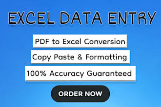 do excel data entry, convert PDF to excel fast