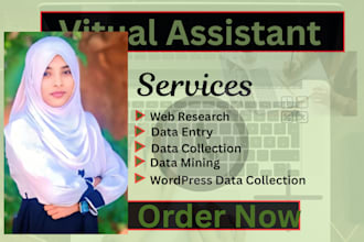 do accurate data entry copy paste work and excel data entry