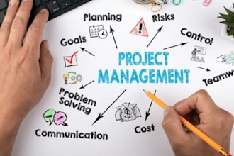 do project strategy, sustainability, risk assessment case study business plans