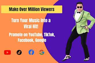 run targeted paid ads for your music on youtube, facebook ,tiktok and google