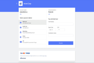 setup payment gateway paypal razorpay stripe wise and fix payment gateway issues