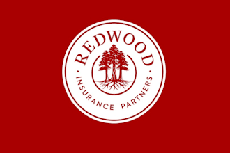 design a professional logo for credit repair, tax, and financial