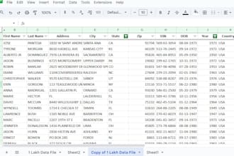 professionally clean and organize your  excel, CSV, json data
