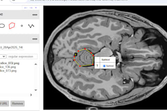 annotate medical images dicom nifti  nii png to coco yolo CSV pascal voc