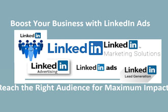setup, optimize and manage your linkedin ads PPC campaigns
