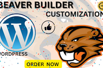 make modify or rebuild beaver builder website divi website oxygen builder