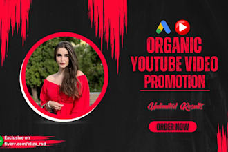 do large audience youtube video promotion